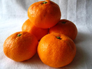 ファイル 270-1.jpg