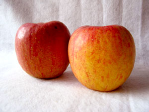 ファイル 270-2.jpg