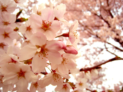 ファイル 316-1.jpg