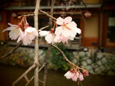 ファイル 322-1.jpg