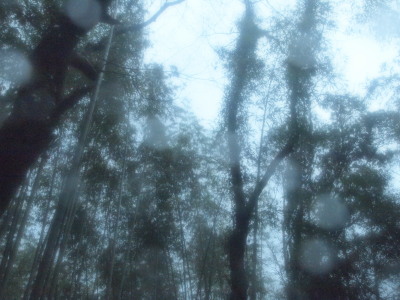 ファイル 324-1.jpg