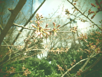 ファイル 325-1.jpg