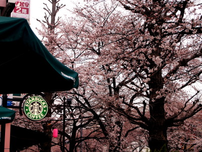 ファイル 330-2.jpg