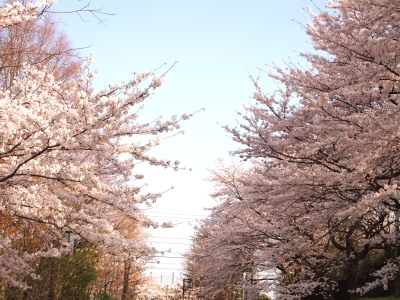 ファイル 332-1.jpg