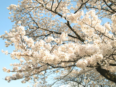 ファイル 332-2.jpg