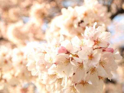 ファイル 332-3.jpg