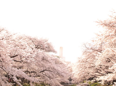 ファイル 332-4.jpg