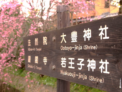 ファイル 337-1.jpg