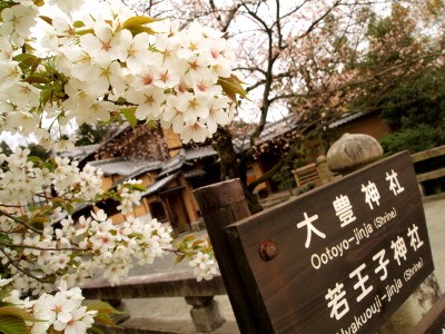 ファイル 338-1.jpg