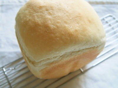 ファイル 341-1.jpg