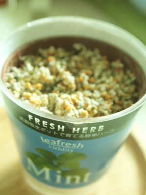 ファイル 342-1.jpg