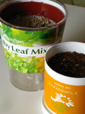 ファイル 346-1.jpg