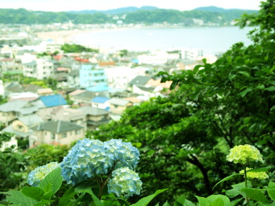 ファイル 374-1.jpg