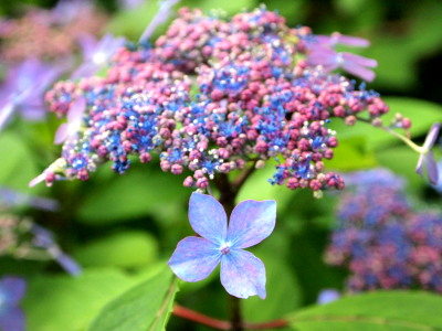 ファイル 374-2.jpg