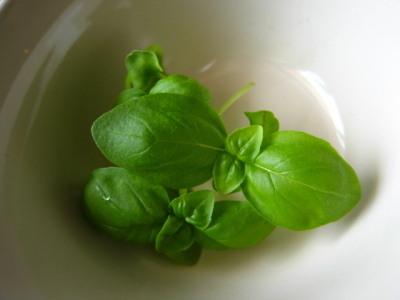 ファイル 379-3.jpg