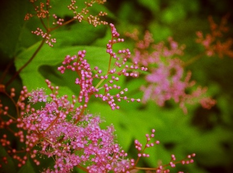 ファイル 381-1.jpg