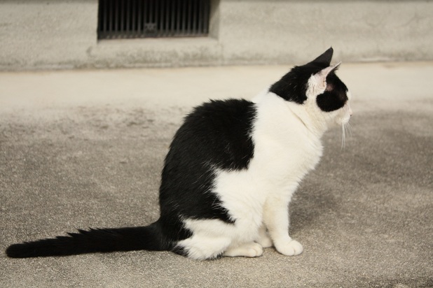 ファイル 457-2.jpg