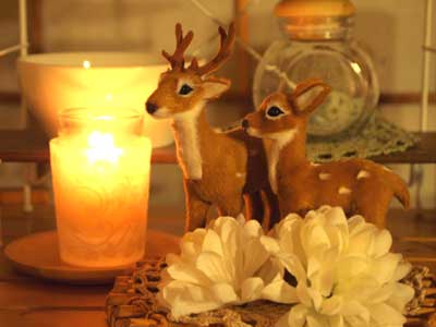 ファイル 519-1.jpg